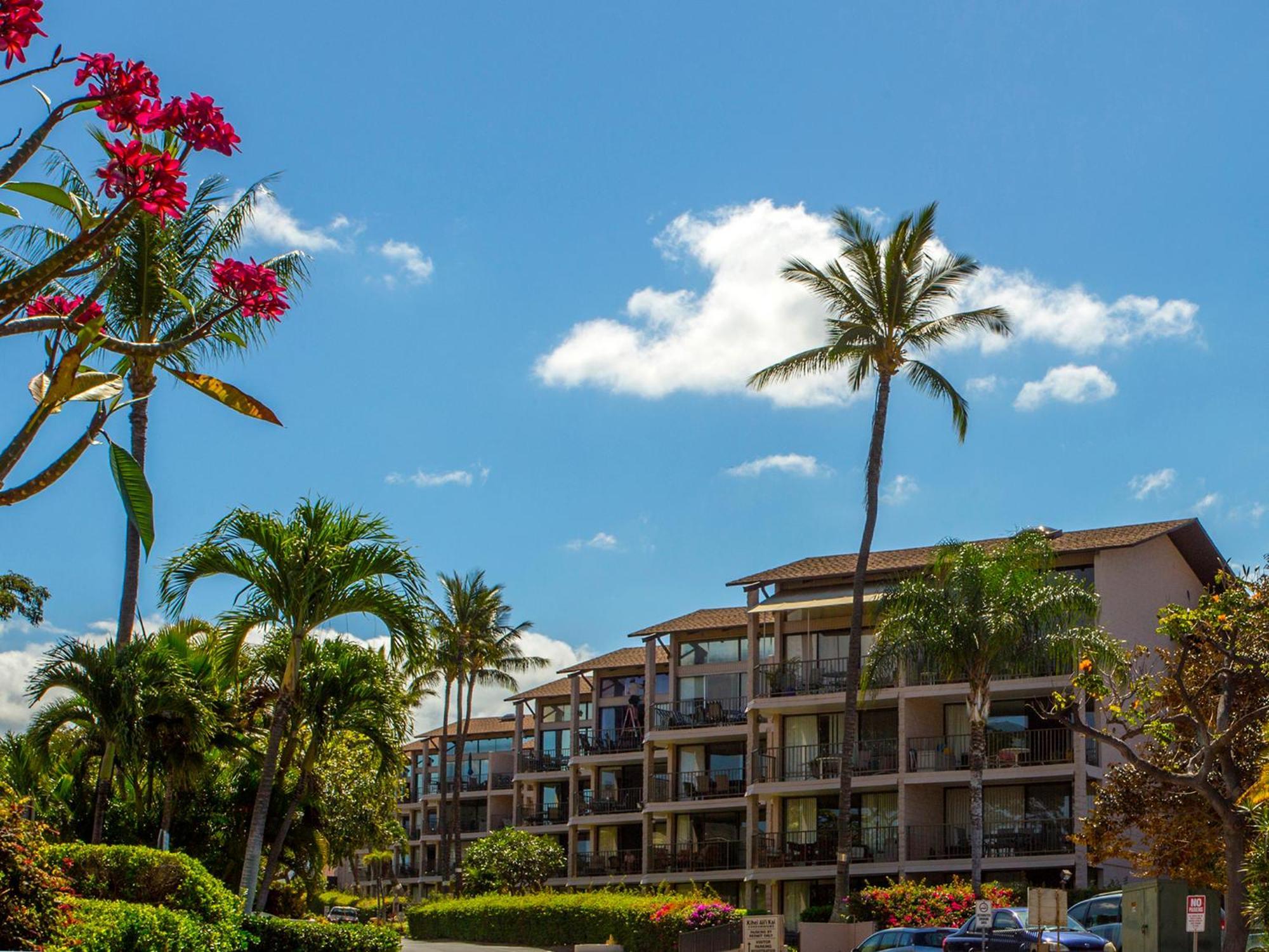 Ocean View Unit At Kihei Alii Kai Close To Beach מראה חיצוני תמונה